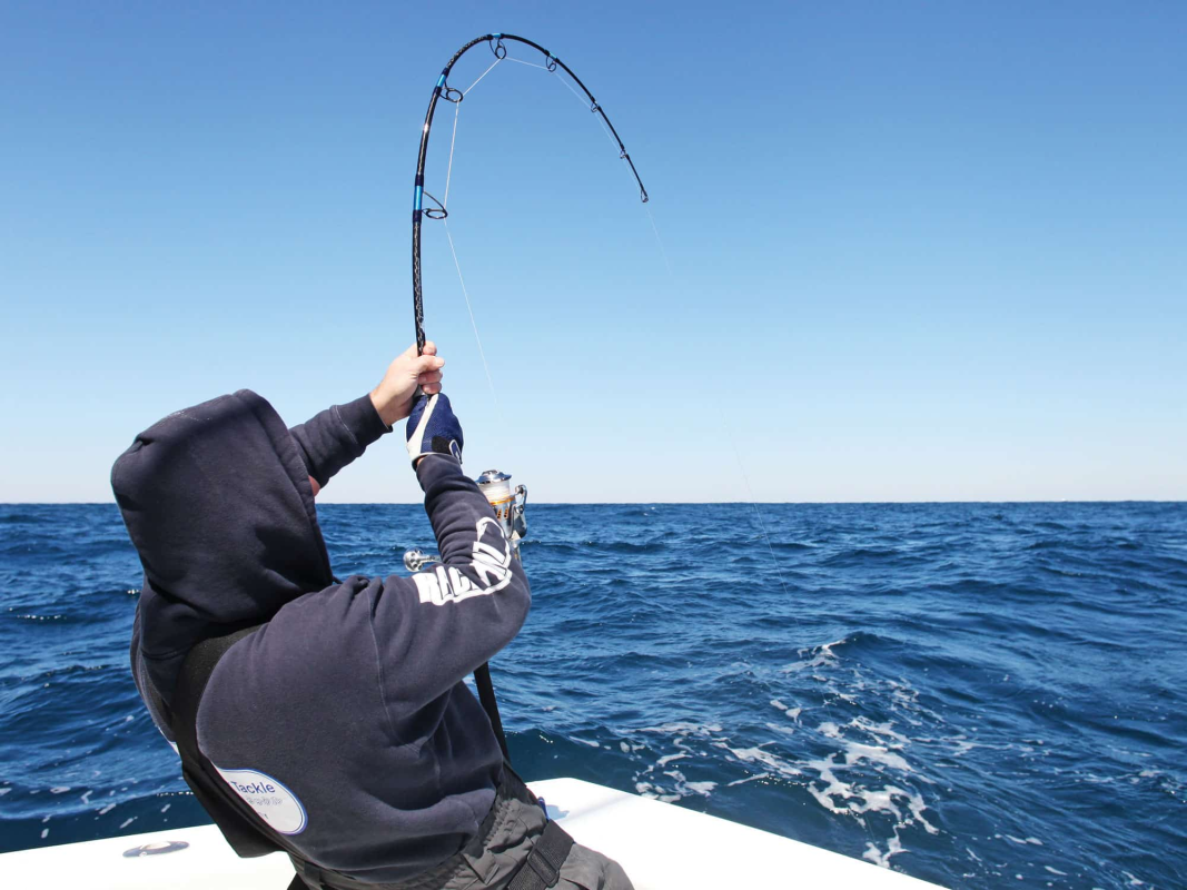 Using a boat fishing rod to catch a big saltwater target