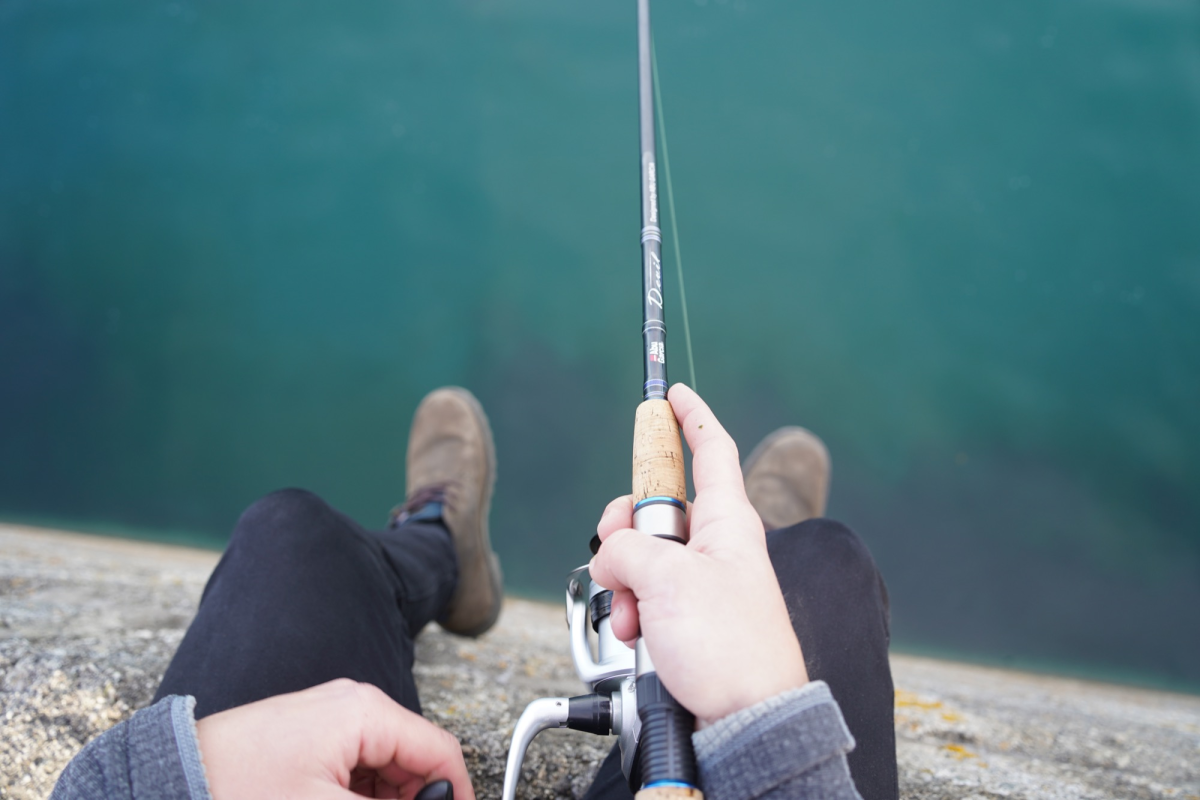 Beginners Need From a Fishing Rod