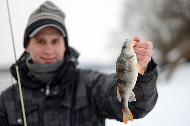 Winter Fishing Rod Guide: Gear for Cold Water