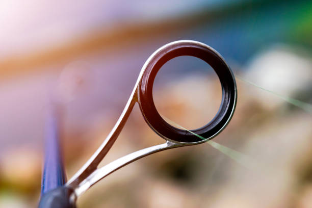 Fishing Rod Guides: The Most Important Part You Don't Think About