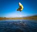 Fish jumping from water, captured while fishing with fishing reel.