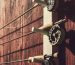 Three vintage fishing rod reels mounted on a wooden wall.