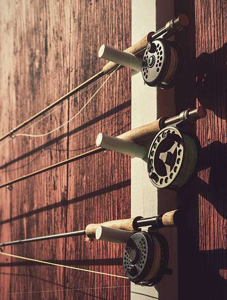 Three vintage fishing rod reels mounted on a wooden wall.