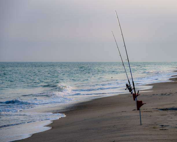 Two fishing rods stand in sand on a serene beach next to ocean waves.